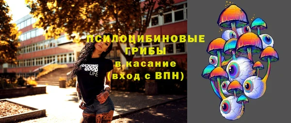 герыч Пестово