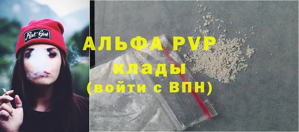 трава Пересвет