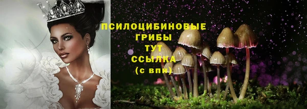 трава Пересвет