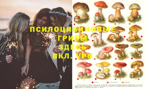 трава Пересвет