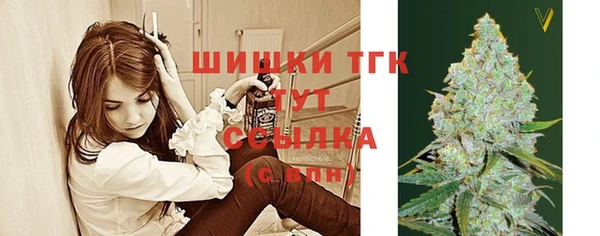 трава Пересвет